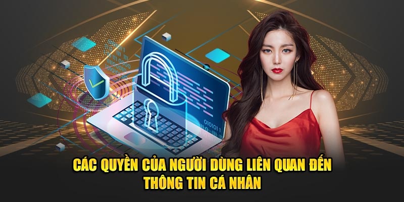 Người dùng được hưởng quyền lợi về việc bảo vệ và quản lý thông tin